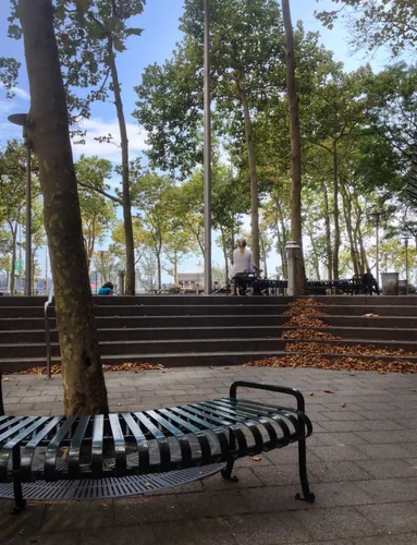 A bench offers shade under a tree in the quiet plaza area