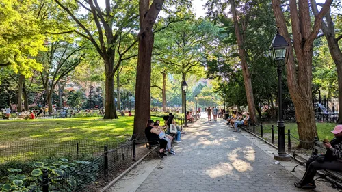 Dappled sunlight falls across a walking path