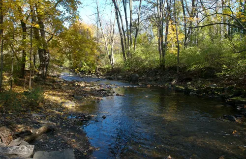 Allen Creek flows gently through the shaded glen in autumn