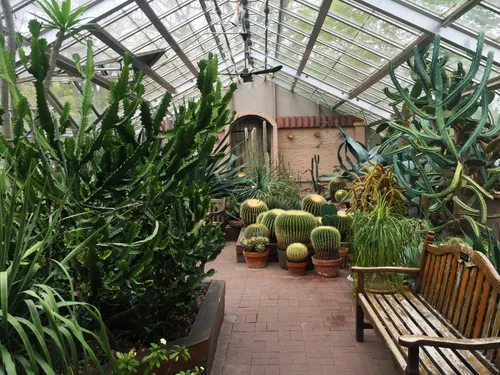 Various types of cacti fill the interior of the Highland Park Conservatory
