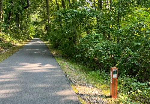 South County Trailway leads through lush green woodland