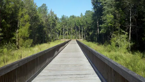 A wooden boardwalk stretches through the park's lush landscape