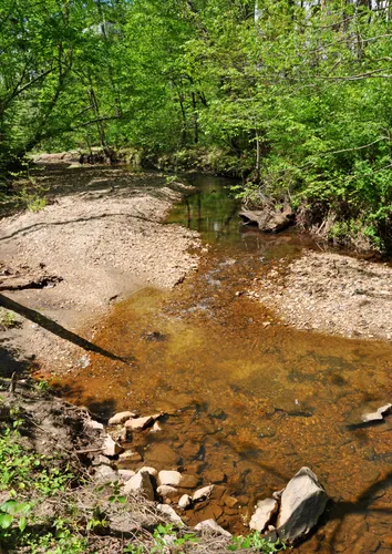 House Creek flows through a sandy creek bed surrounded by greenery