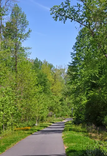 House Creek Greenway Trail leads through lush green trees