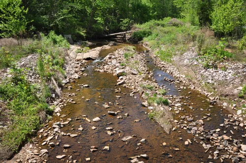Rocky creek bed with shallow water flowing gently between the banks