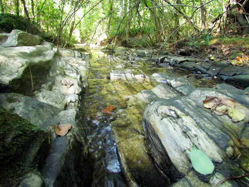 Smooth stone formations create natural patterns in the creek's gentle flow