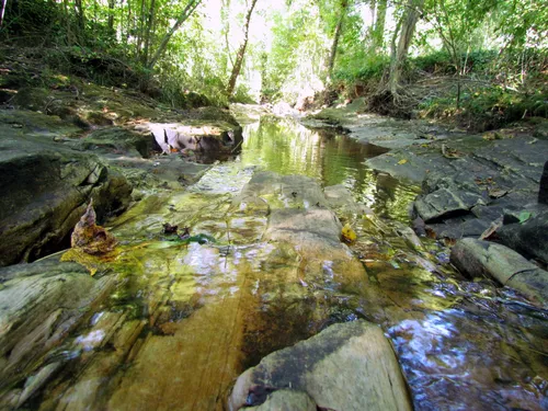 Sunlight dapples across Beaverdam Creek's clear waters and exposed bedrock