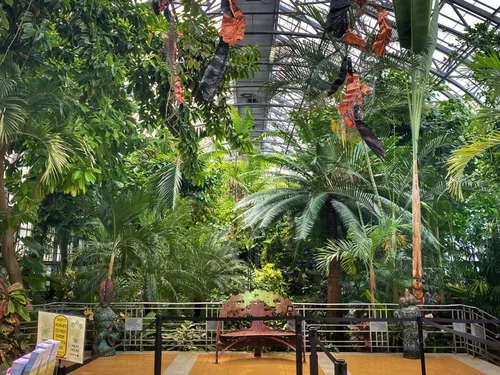 Tropical palms and lush plantings inside Krohn Conservatory