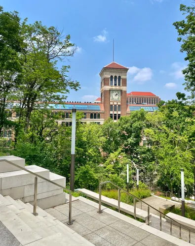 The Baldwin Piano Building's 1921 clock tower rises above the tree line near the Cincinnati Art Museum