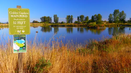 A sign marks the Main Pond, with tall reeds framing the scene