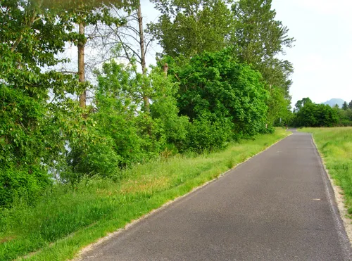 West Bank Path passes through the park along its eastern edge along the Willamette River