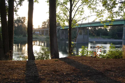 A view toward the Marion Street Bridge through the park's riverside tree line