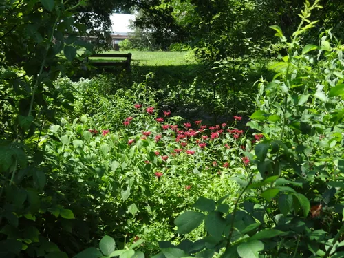 Bartram's Garden has all the shades of green