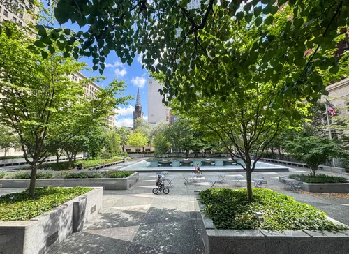 Lush trees frame a summertime view of the square