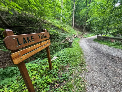 A wooden sign points along the Lake Trail