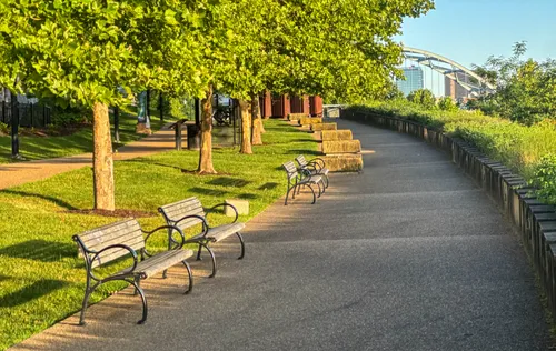 The tree-lined walking path is still empty on this early morning