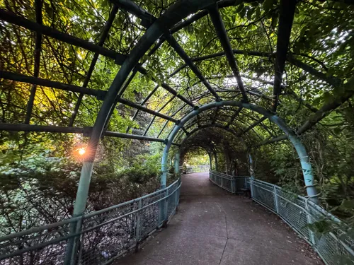 This section of the walkway features a vine-covered canopy structure