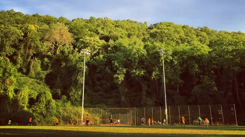 The park's baseball diamond with a lush green forest backdrop