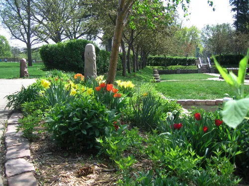 Colorful tulips and daffodils are planted in a garden bed