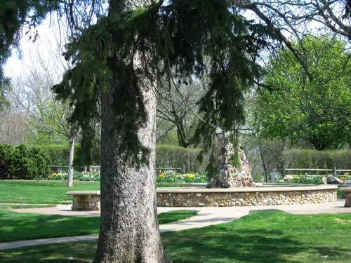 The central garden area is surrounded by tall trees