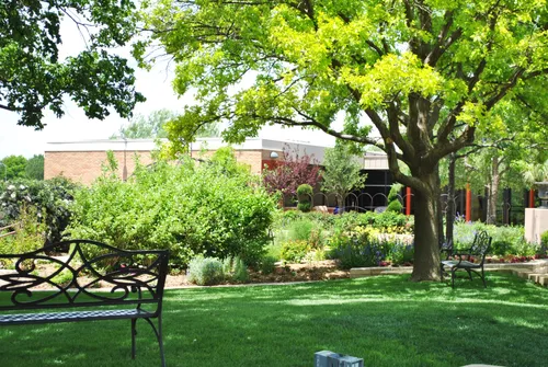 Shaded bench offers a peaceful rest spot among lush greenery