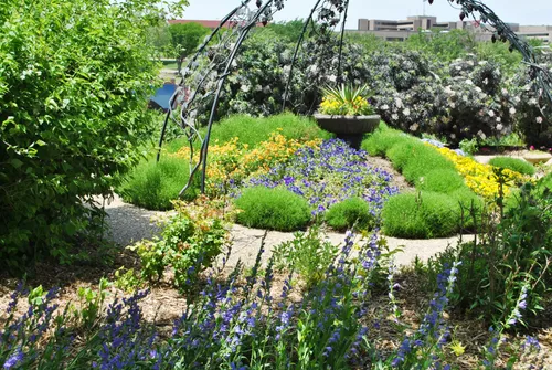 Vibrant perennial garden displays with decorative metal arbor structure