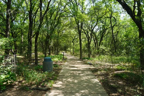 Shaded walking trail through forested landscape