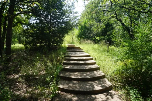Stone steps ascend along a sunlit pathway