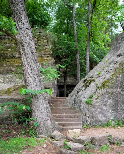 Stone stairs near the park's wooded sections