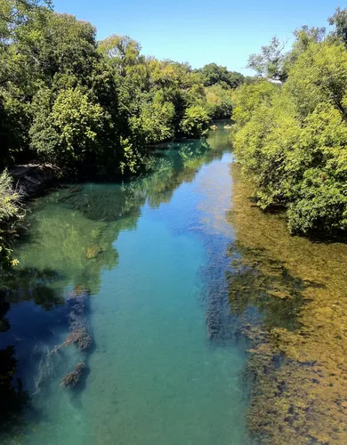 Barton Creek borders the park on the west
