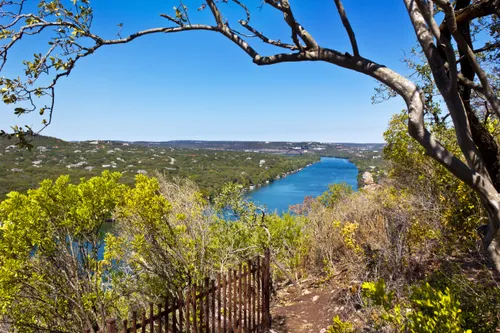 Spring vegetation and iron fencing along Mount Bonnell's viewing area