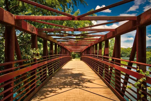 The Ann and Roy Butler Hike and Bike Trail crosses a red steel bridge surrounded by lush greenery