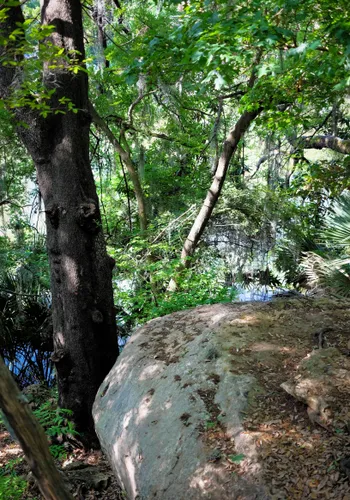 Large boulders nestled among shady trees