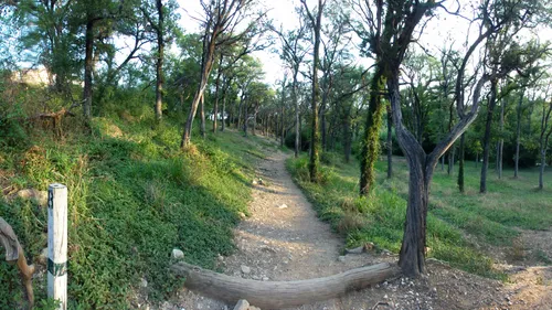A section of the park's disc golf course