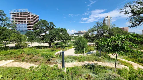Plantings and trees fill the park with Austin buildings rising in the background