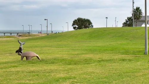 Grassy hill with wide open space