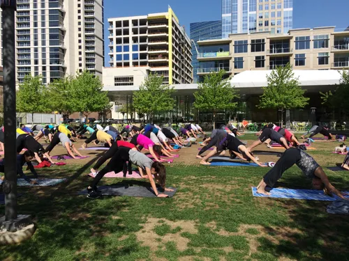 Yoga session on the park lawn