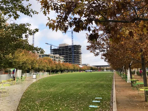 Tree-lined pathway curves along the urban green space in autumn