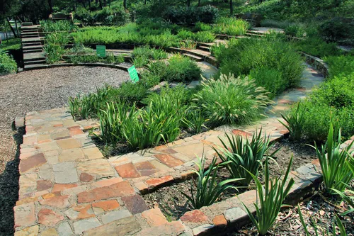 Terraced stone garden next to Reverchon Recreation Center
