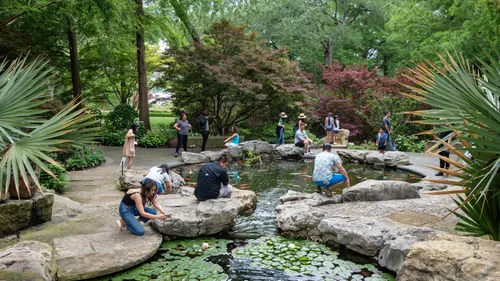 Visitors explore a beautifully landscaped pond at the Dallas Arboretum