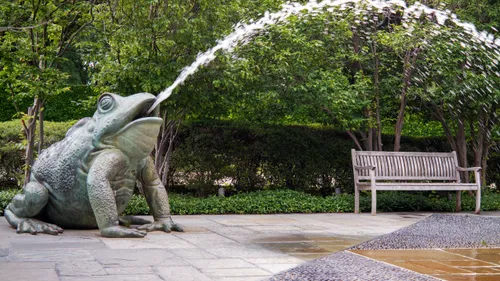 A bronze frog sculpture sprays a water arch near Crape Myrtle Alley