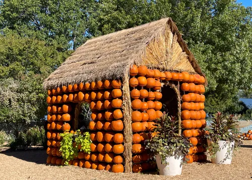 Hundreds of pumpkins form a thatched-roof structure as part of Halloween decorations