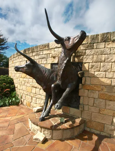 Bull sculpture as part of the Shawnee Trail Cattle Drive art installation by Anita Pauwels