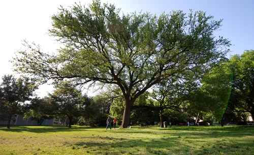 A calm late afternoon on the park grounds