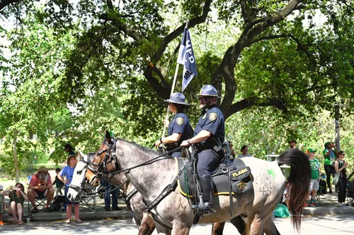 Mounted police officers during an event