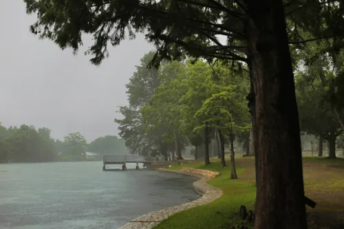 Tall trees line the banks of the Comal River during heavy rain
