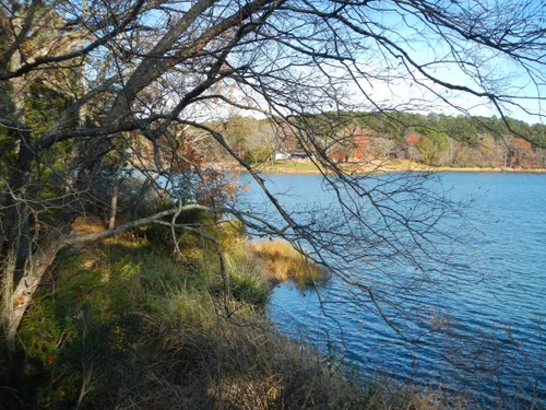 A winter view of Tyler State Park Lake from its west shore