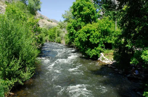 The Provo River cuts through dense cottonwood trees in the heart of the park