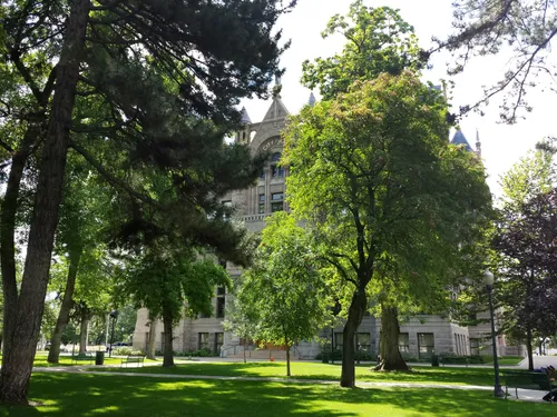 Lush green trees grace the grounds of Washington Square Park