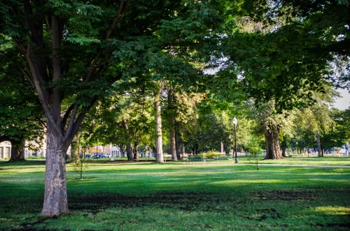 Sprawling lawn area shaded by mature trees in the park